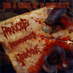 Incarnated (PL) : The 3 Ways of a Brutality